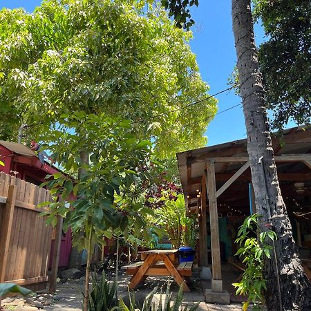 Banana Bungalow Maui Hostel Wailuku Ngoại thất bức ảnh