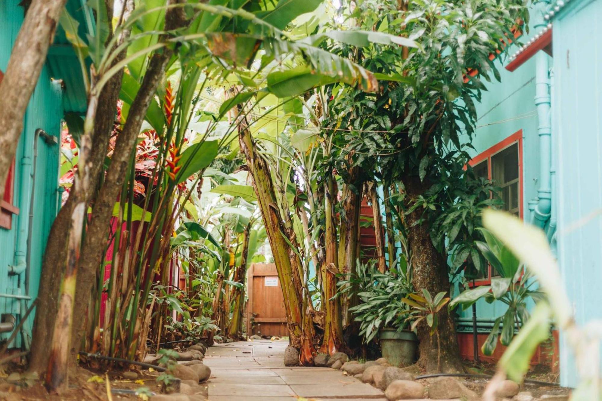 Banana Bungalow Maui Hostel Wailuku Ngoại thất bức ảnh